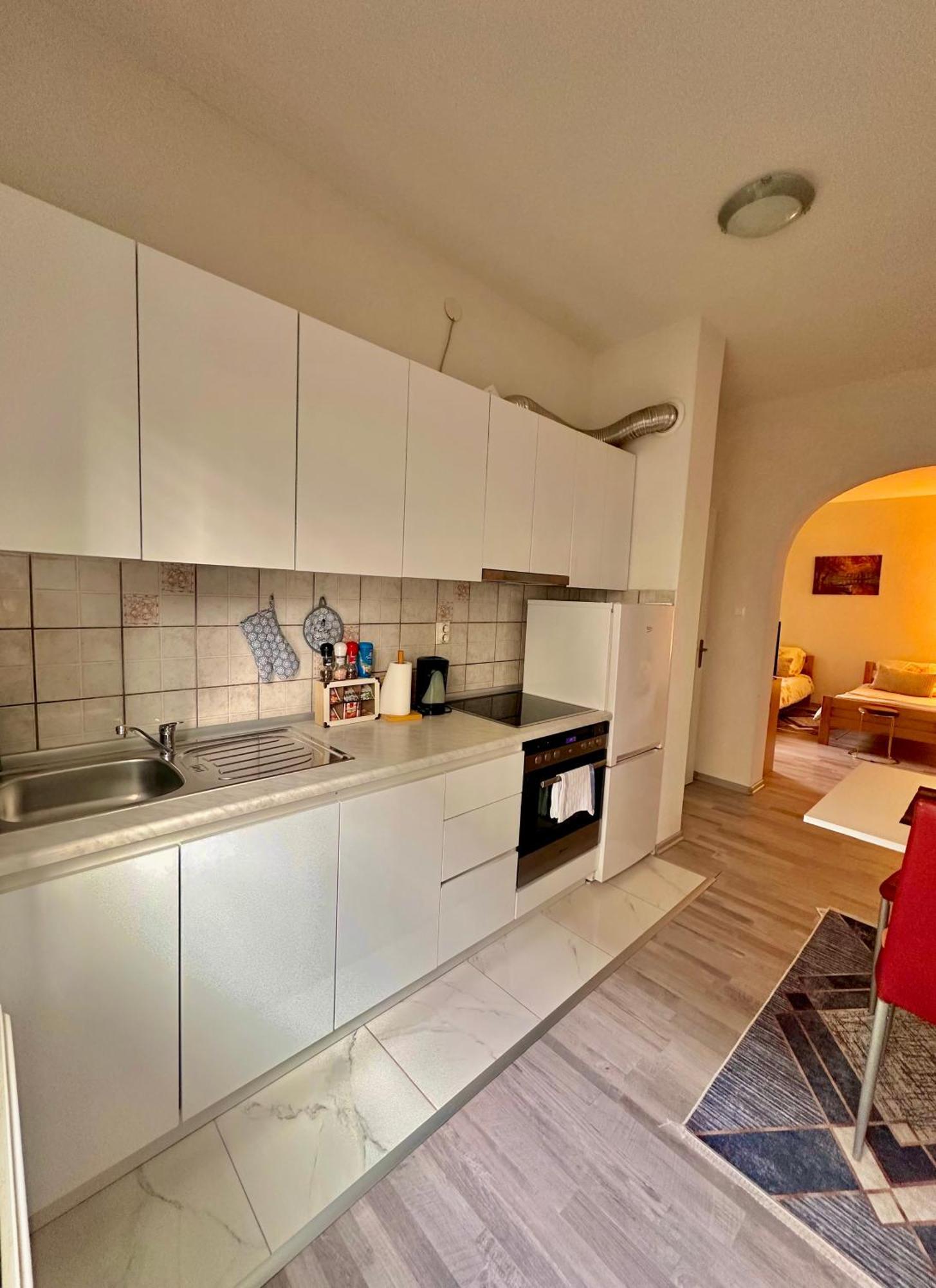 Apartment Rea Ilidza 2 사라예보 외부 사진
